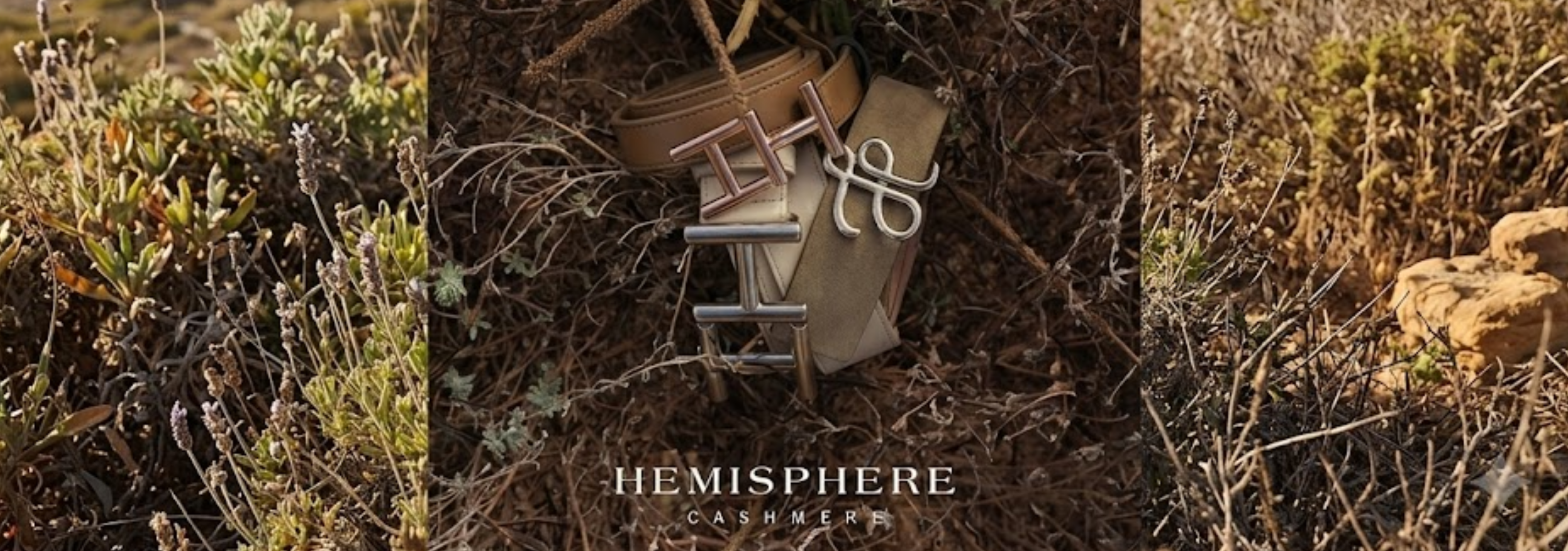 Hemisphere